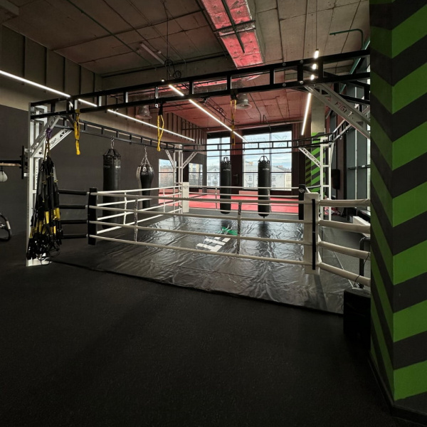 Боксерский ринг в раме Gym in one