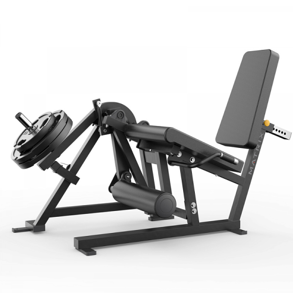 Разгибание ног Matrix Varsity VY-401